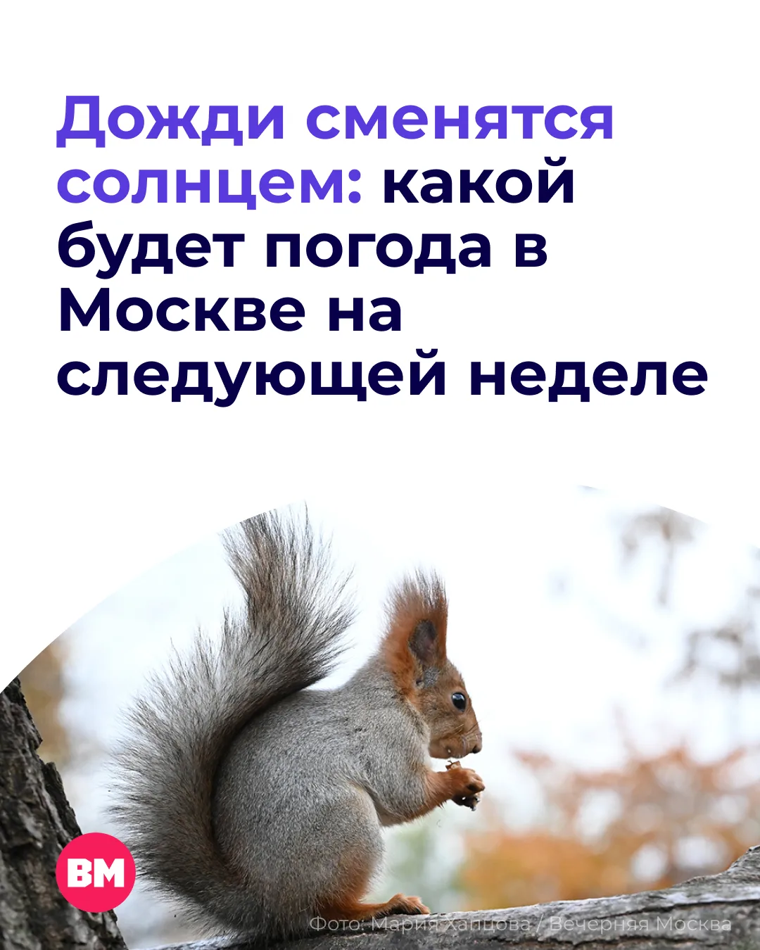 🌤 Вот и все, бабье лето постепенно прощается с Москвой. Но спешить доставать самые теп...