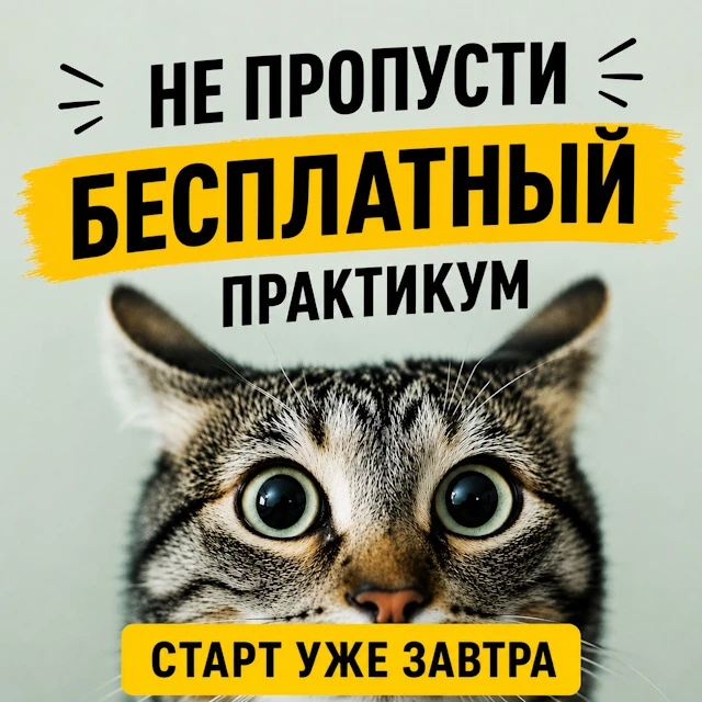 Ой, а что это пролетает мимо? ☄😳