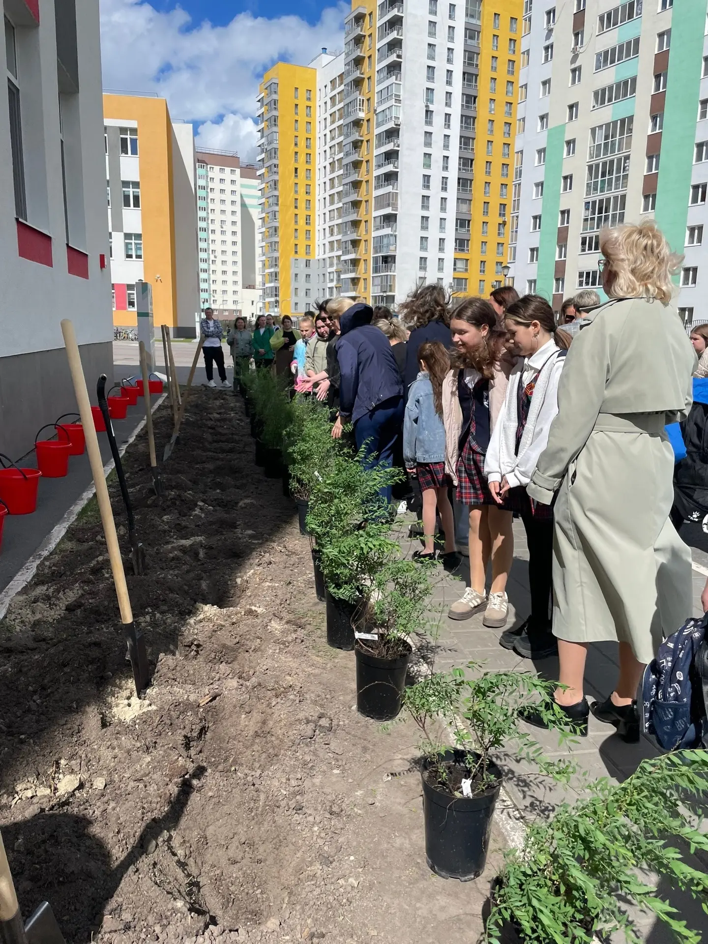 Сегодня на территории нашей школы состоялось тёплое и знаковое событие! 🌿 Выпускники 4-х, 9-х и 11-х