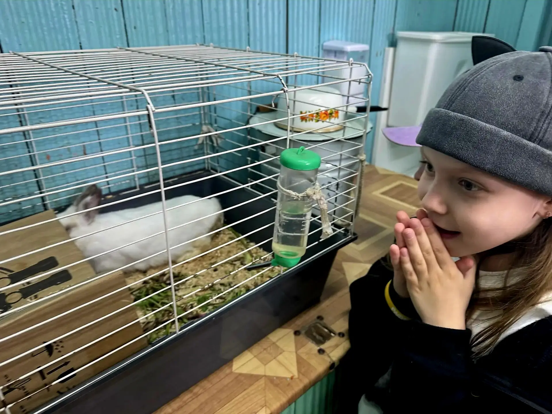 🐾💗🐾Немного милоты в ленту.....🐾💗🐾
🐰🐇🐿Живой уголок Станции юных техников.....место, где серд