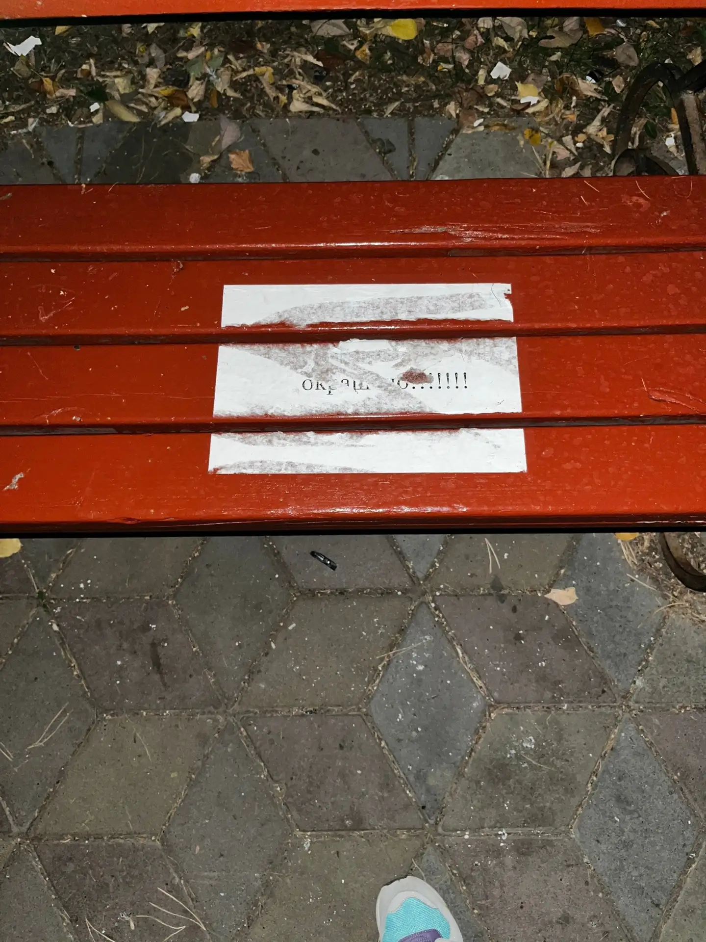 Администрация САО, УДХБ! Подскажите, когда вы наведете порядок в сквере Молодоженов??? ...
