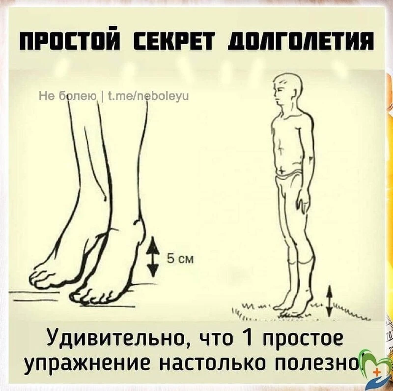 Лимфодренажная гимнастика - это эффективная профилактика тромбофлебита, инфаркта миокарда и а.

Необ