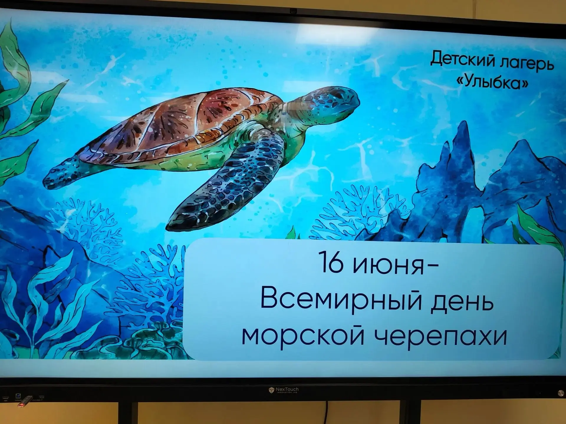 🌊🐢 16 июня в нашем лагере "Улыбка" прошёл незабываемый день, посвящённый морским черепахам! Несмот