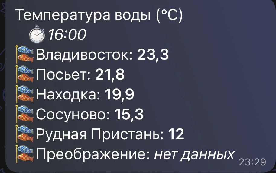 Яркое солнце вновь подогрело морскую воду в акватории Владивостока до летних значений. ...
