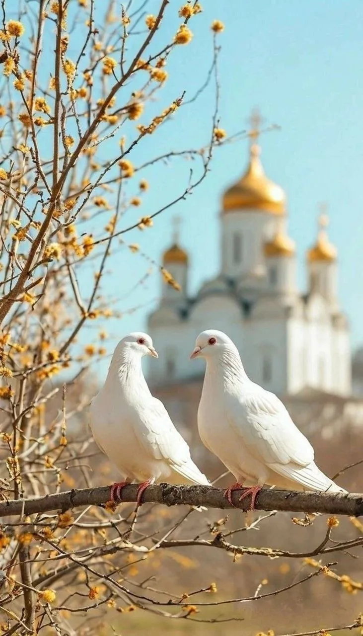 Глубоко ошибаются те, кто думает, что Россию Господь оставил. Все, что происходит у нас...