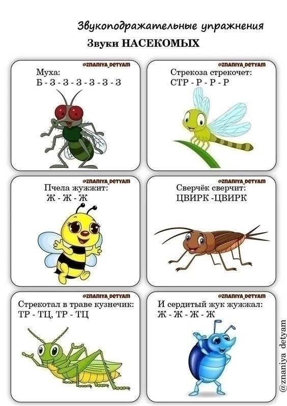 ОБУЧАЮЩИЕ КАРТОЧКИ «ЗВУКОПОДРАЖАНИЕ»
Наш логопед подготовил для ребят интересное и полезное знакомст