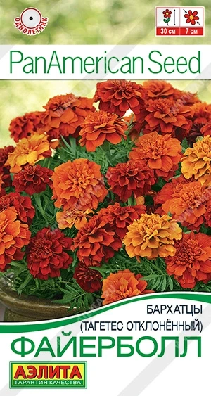 🌼 Встречайте уникальные бархатцы-хамелеоны! 🌼 Эти удивительные цветы способны менять свой окрас в за