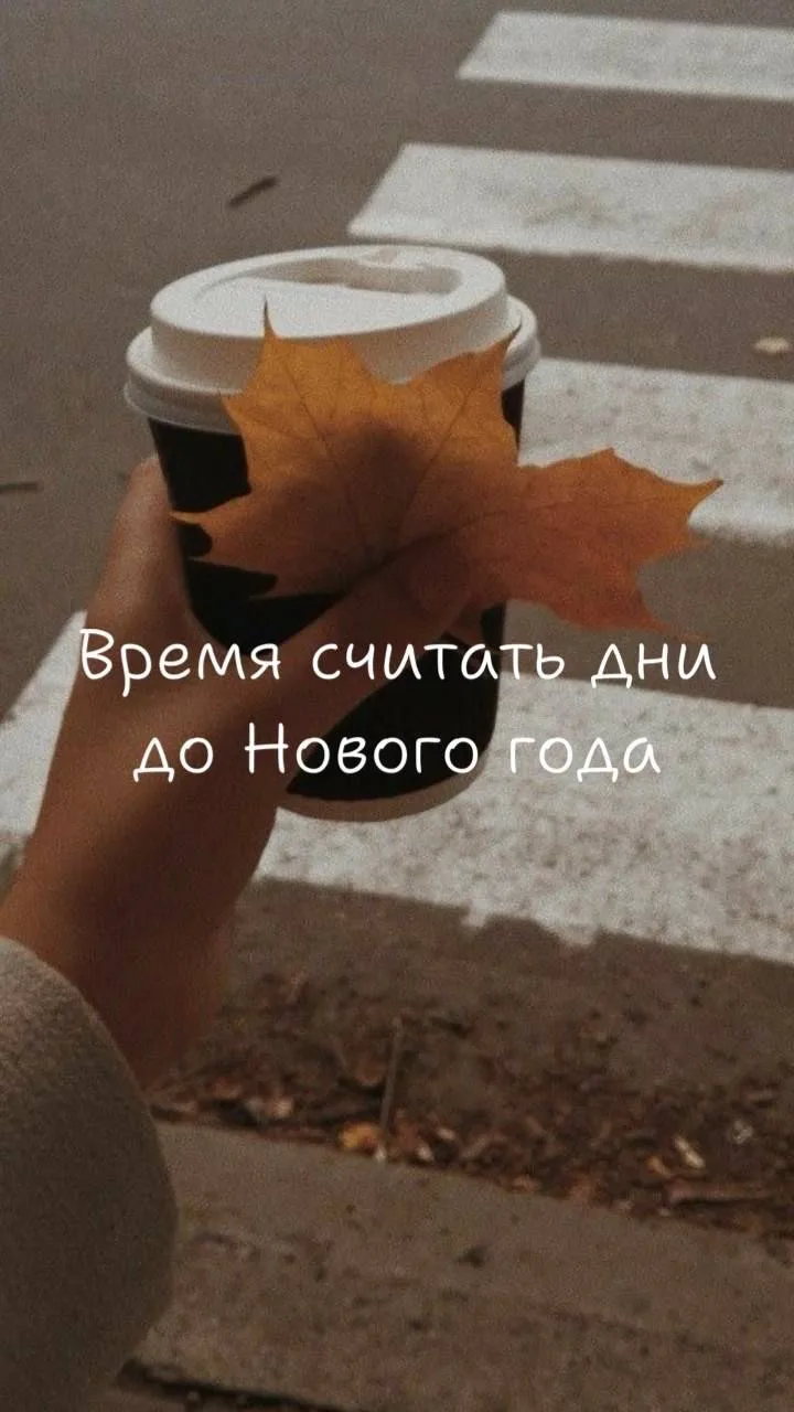 Доброе утро 🍁
