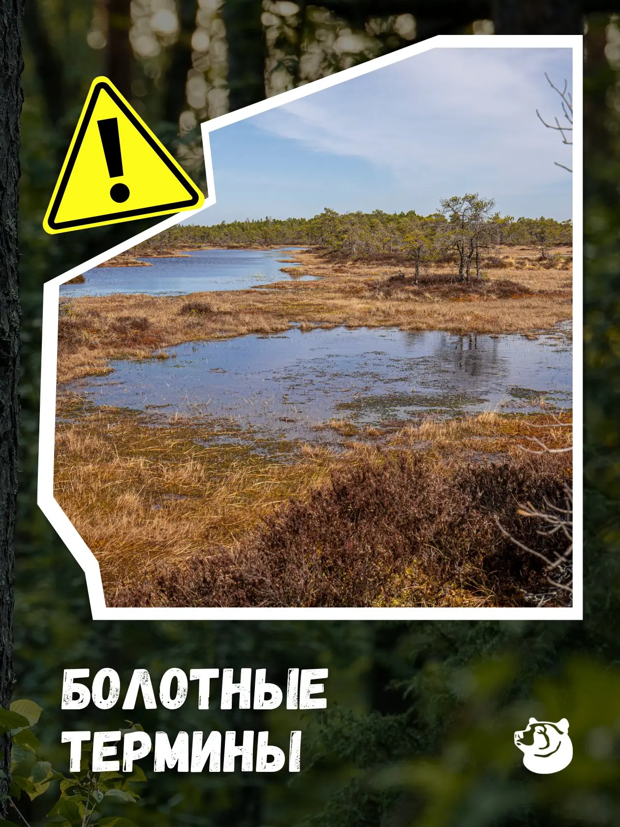 ⚠️ Кочка - жизнь, мочажина - риск, зыбун - смерть. Изучаем терминологию болота 👇

Каждое слово в эт