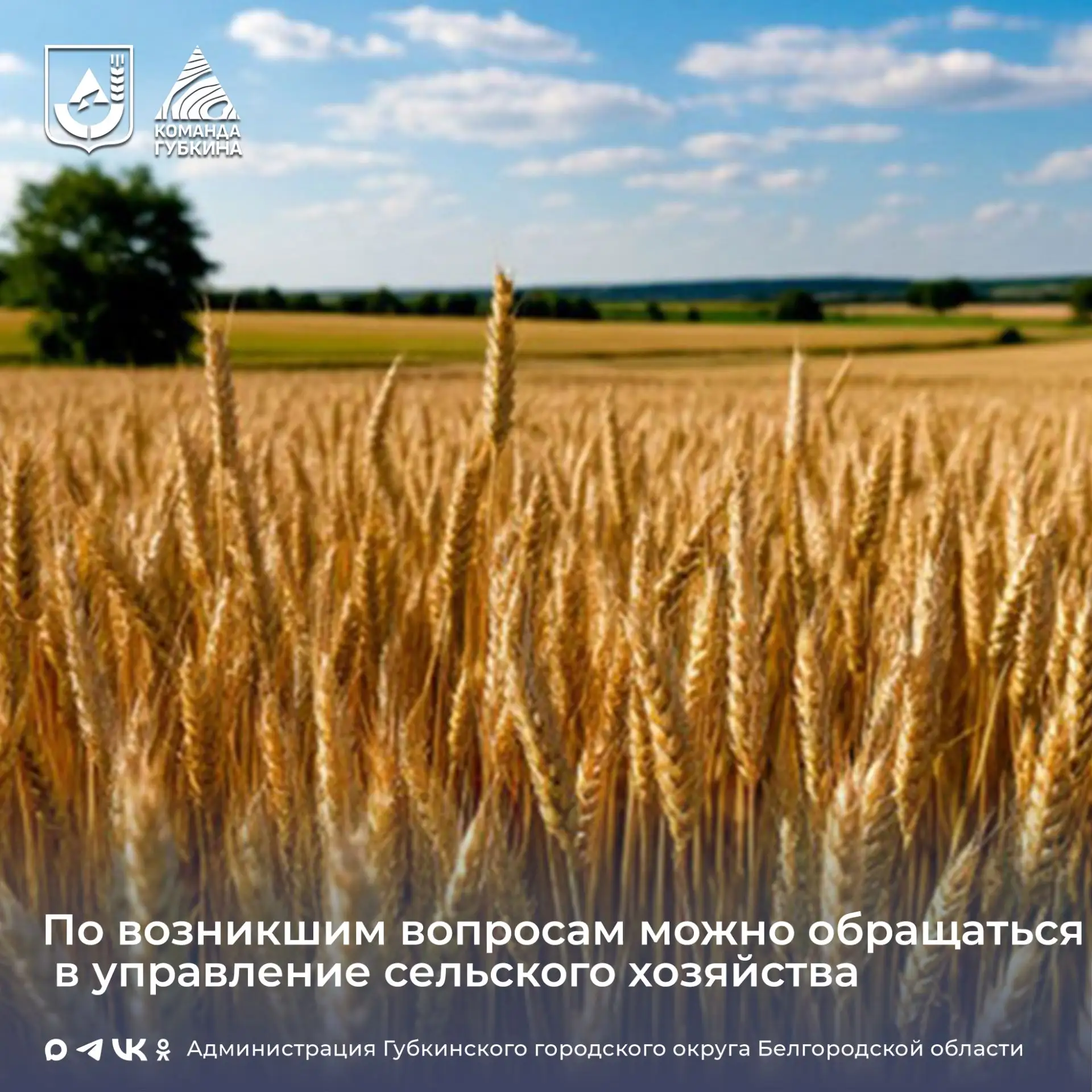 Грант на развитие фермерских хозяйств  🌱С 22 апреля 2026 на портале предоставления мер финансовой го