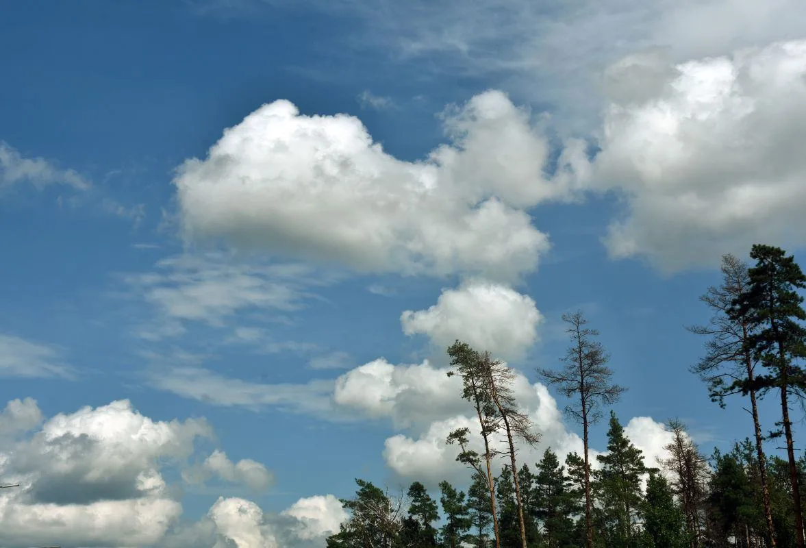 🌤 Прогноз погоды в Воронеже на вторник, 8 сентября