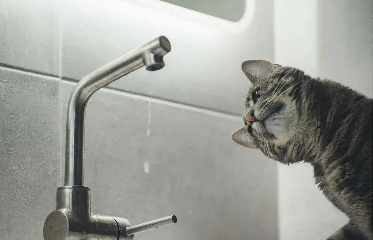 💧 Временное ограничение водоснабжения