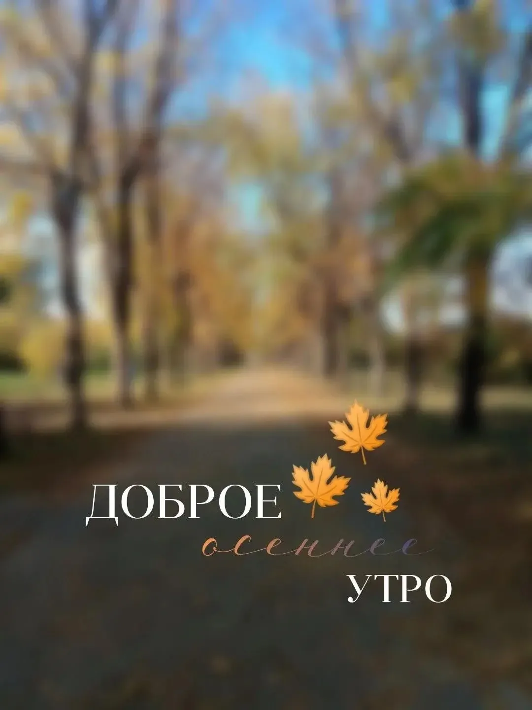 🛡️ Локальный SOS-набор (точечное лечение) для борьбы с акне после перелёта 🛡️