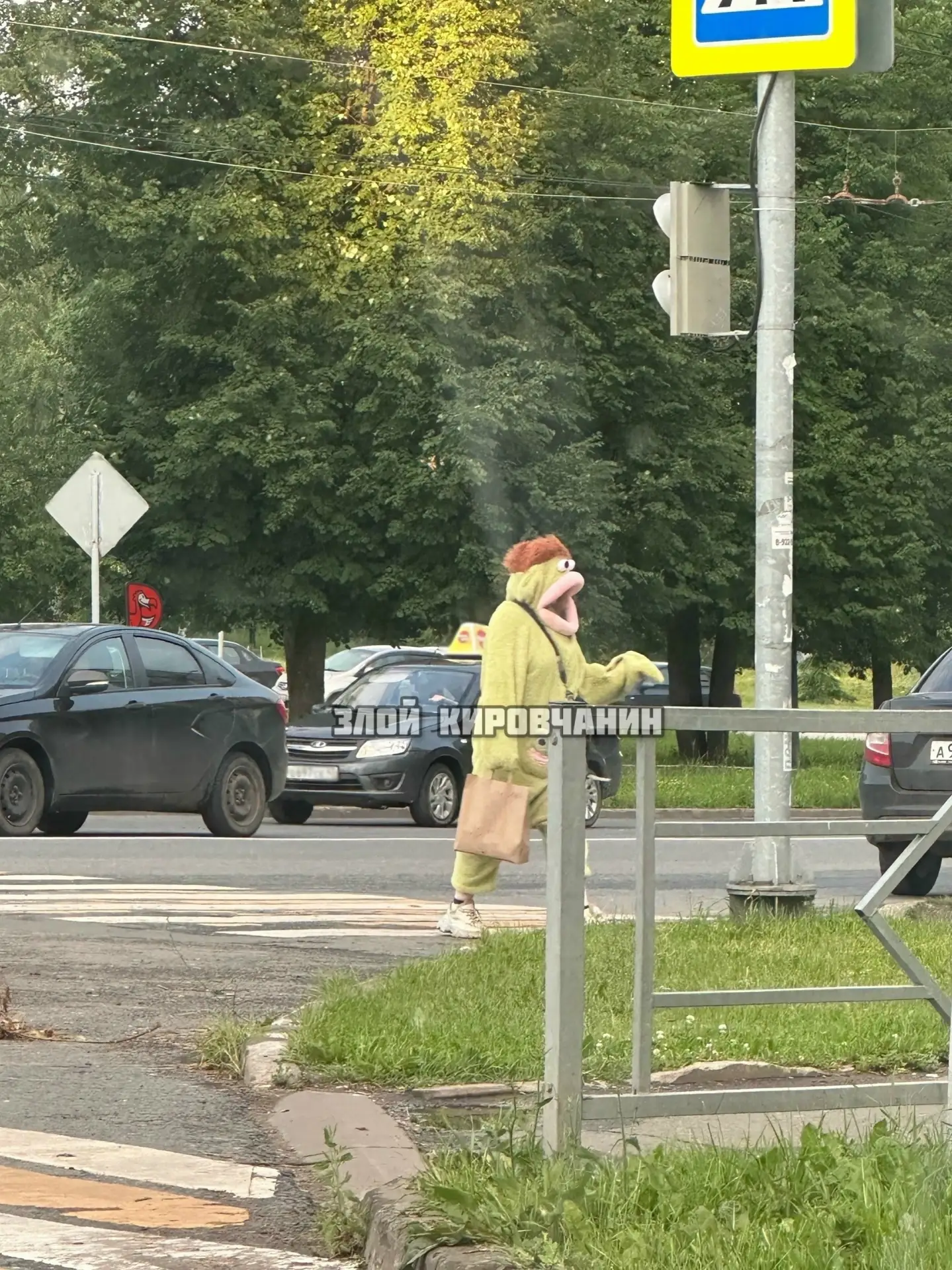 🐸 На улице повстречали забавную лягушку. 😄 Даже в такую дождливую погоду сразу стало ...