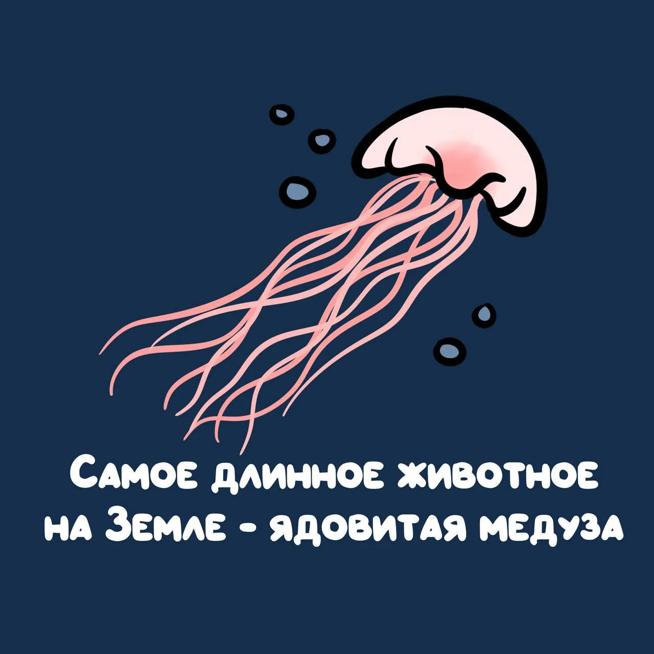 Щупальца у них 30 метров! 🤯

Мы в МАХ