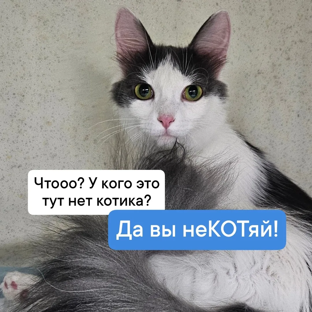 Ну, и немного позитива ☀ Ничего личного 😄