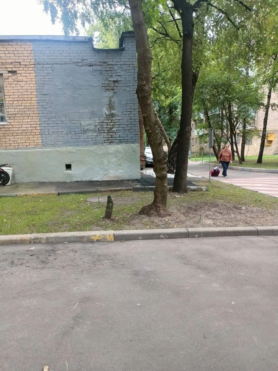 😢 Суровая правда жизни в Очаково-Матвеевском