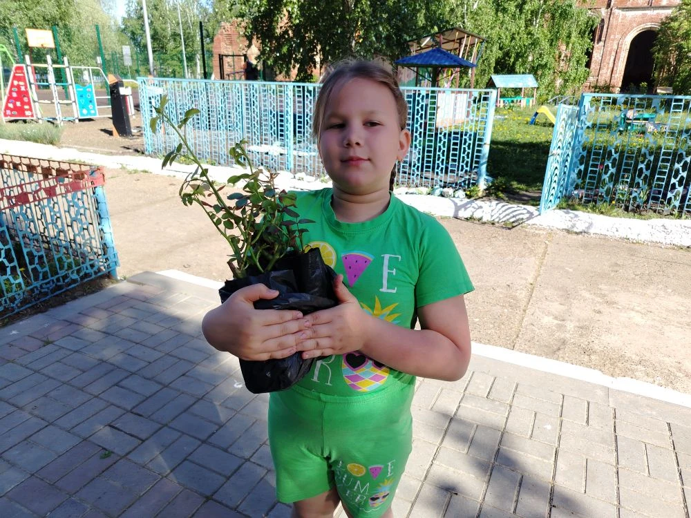 В нашем детском саду прошла акция "Подари цветок детскому саду" Выражаем огромную благо...