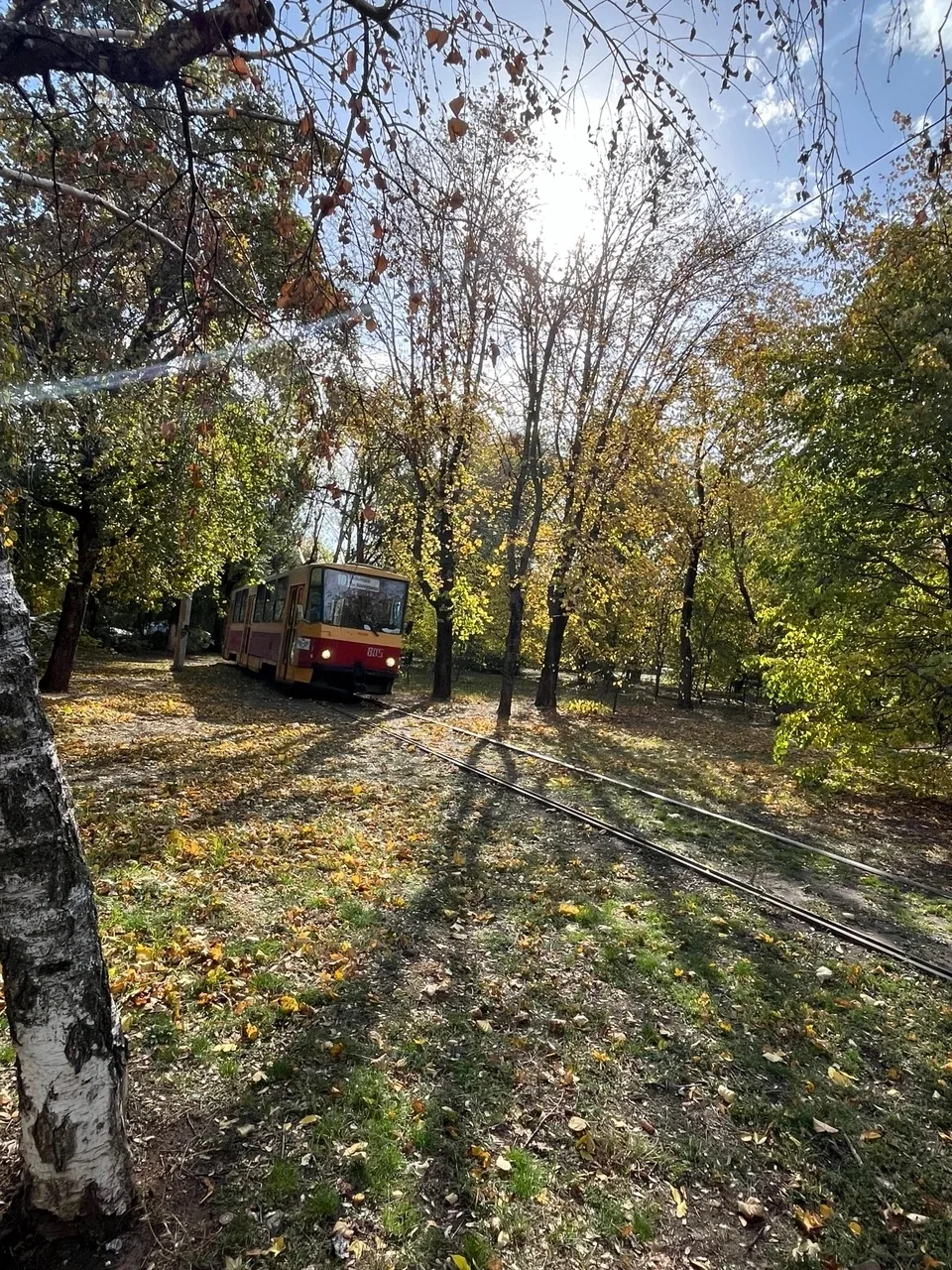 ☀️ Ростовчане, сегодня будет отличная погода!