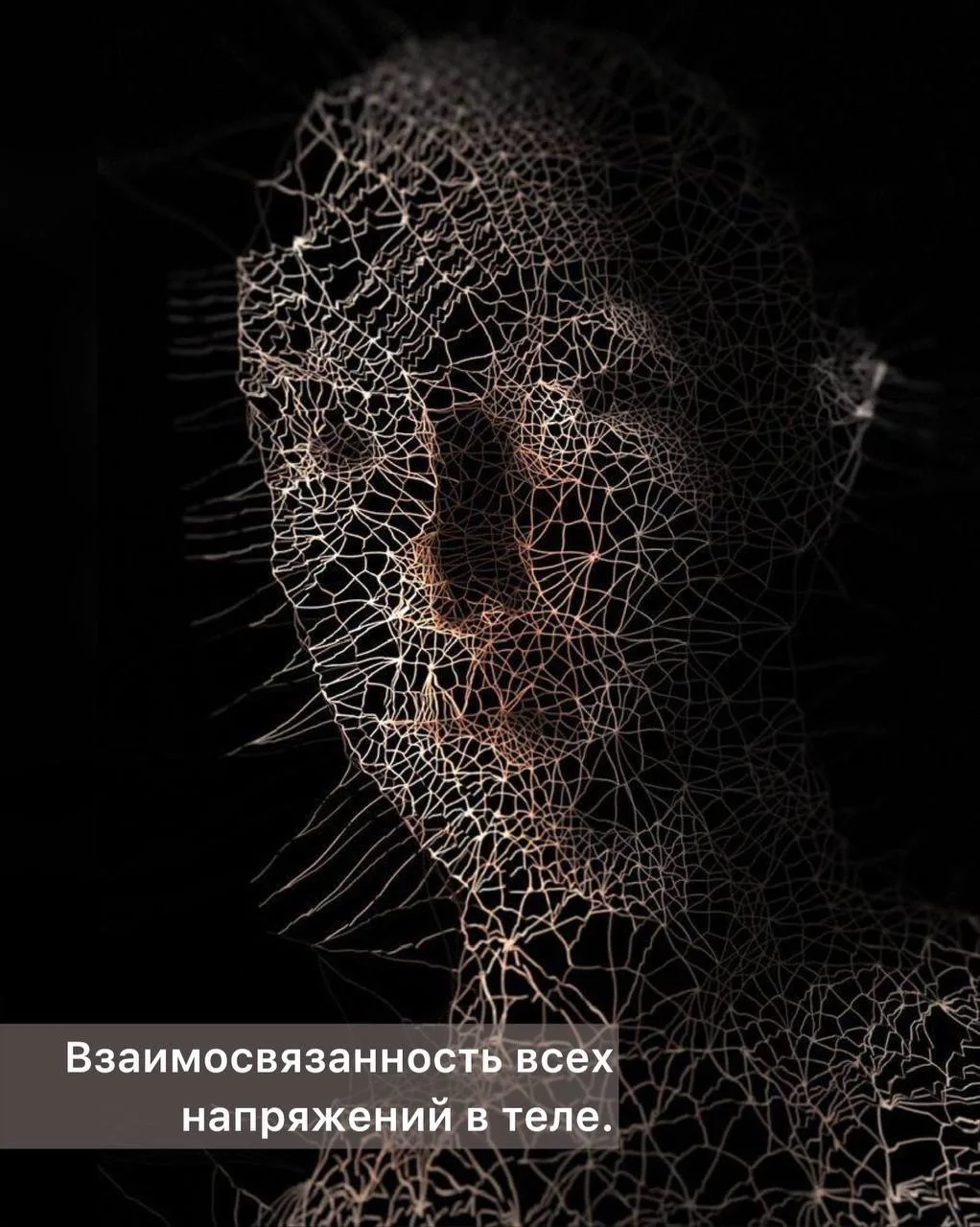 Соединительная ткань живого организма обладает свойством, названным в зарубежной литера...