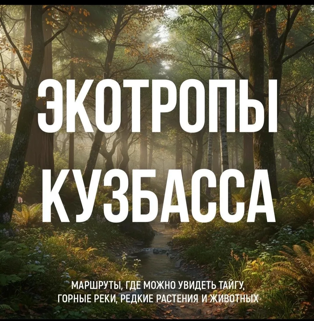 Лучший способ познакомиться с природой Кузбасса — отправиться по экотропе.

Здесь каждый маршрут — э