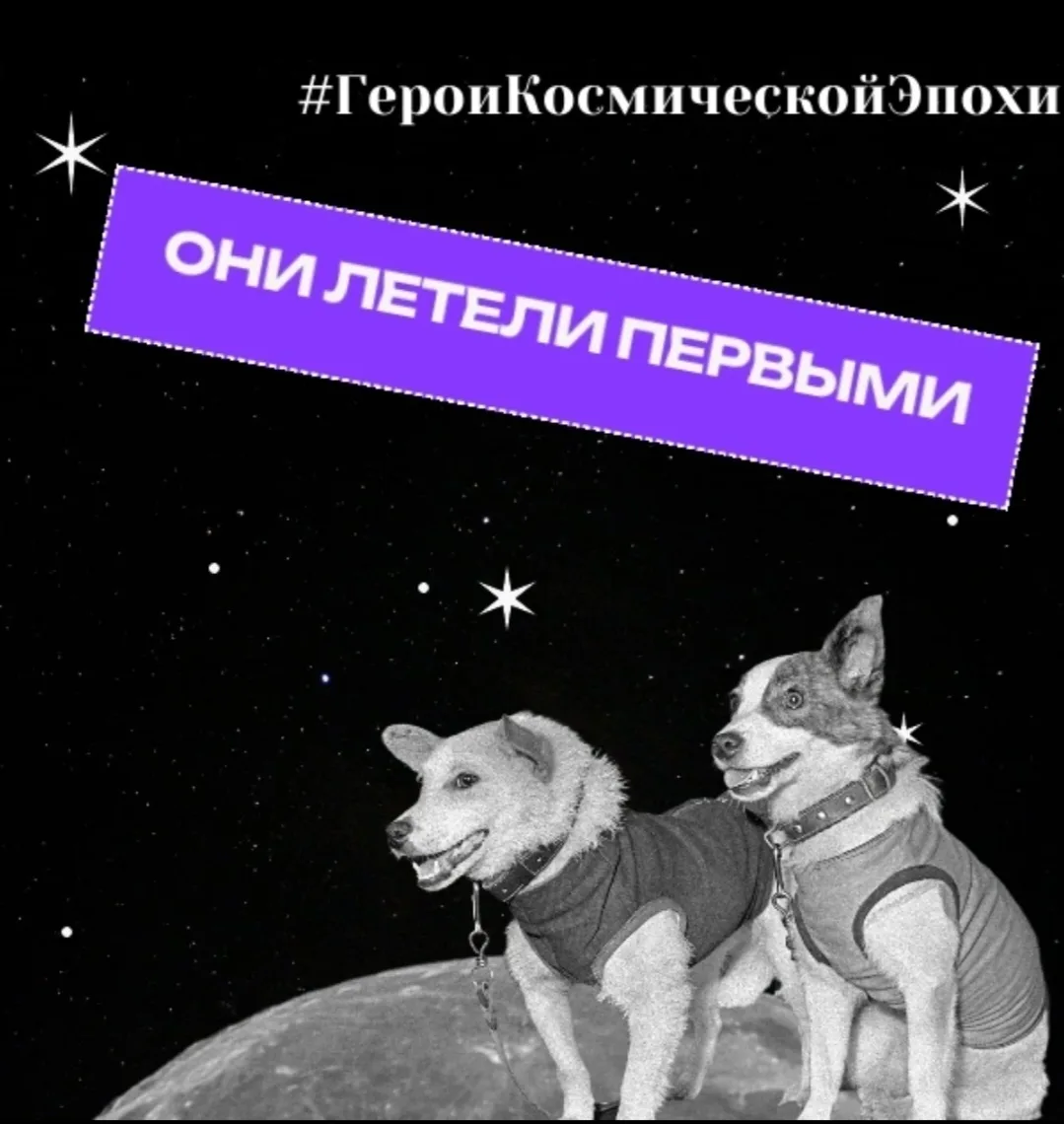 📌Мы знаем имена космонавтов, но забываем о первых пассажирах. Собаки, обезьяны и черепахи летели в 