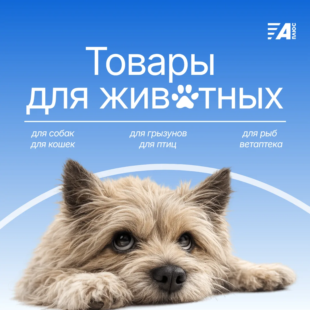🐶🐱Если в вашем доме кто-то встречает вас с неподдельной радостью, этот пост тоже для него. Хотя чи