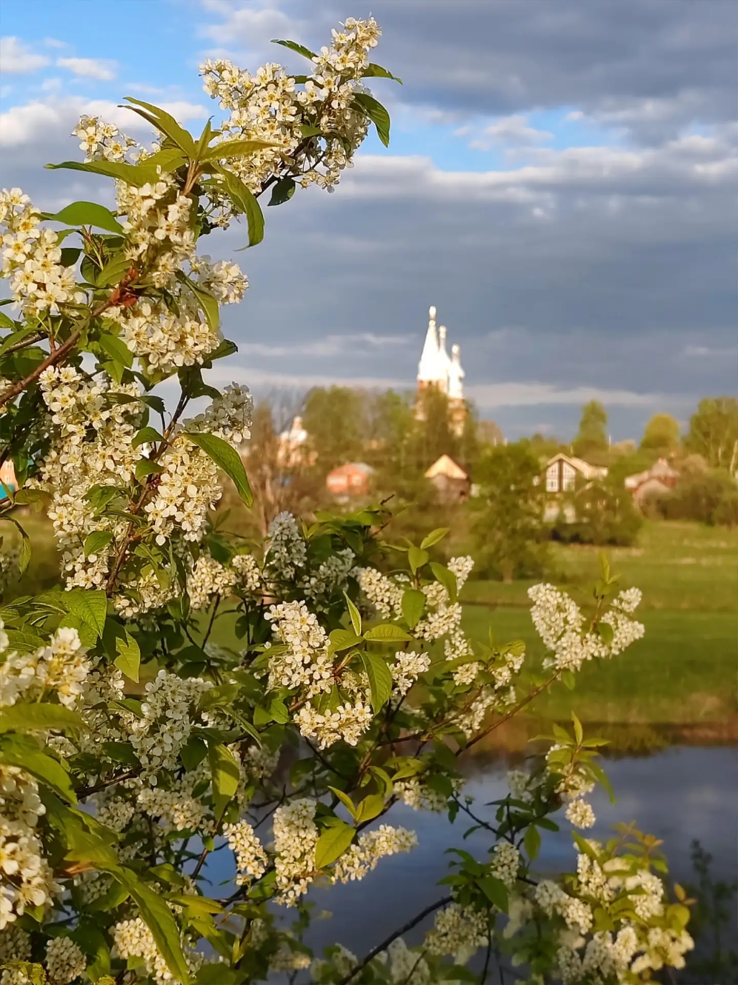 #Дунилово  📷 Елена Кистровских