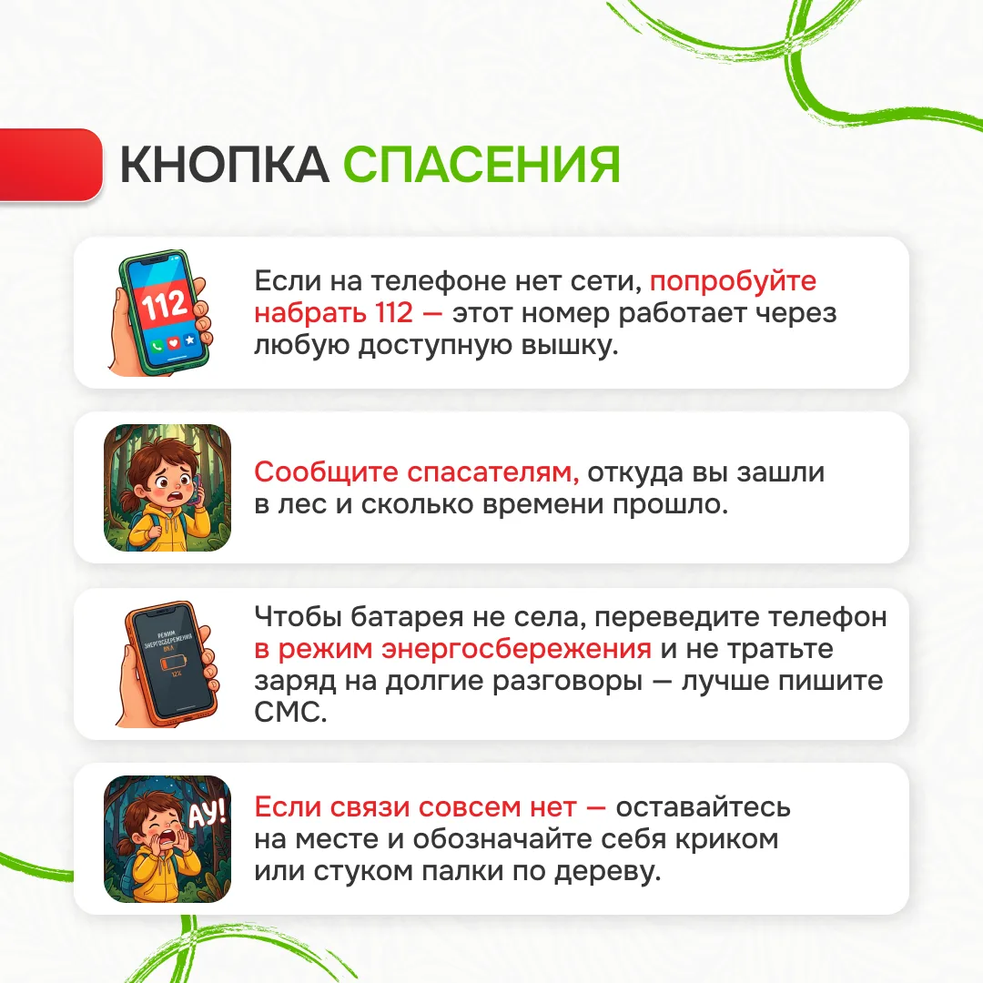 Памятка «Лес без происшествий»: Ваш гид по безопасному отдыху на природе Лес – это удивительное мест