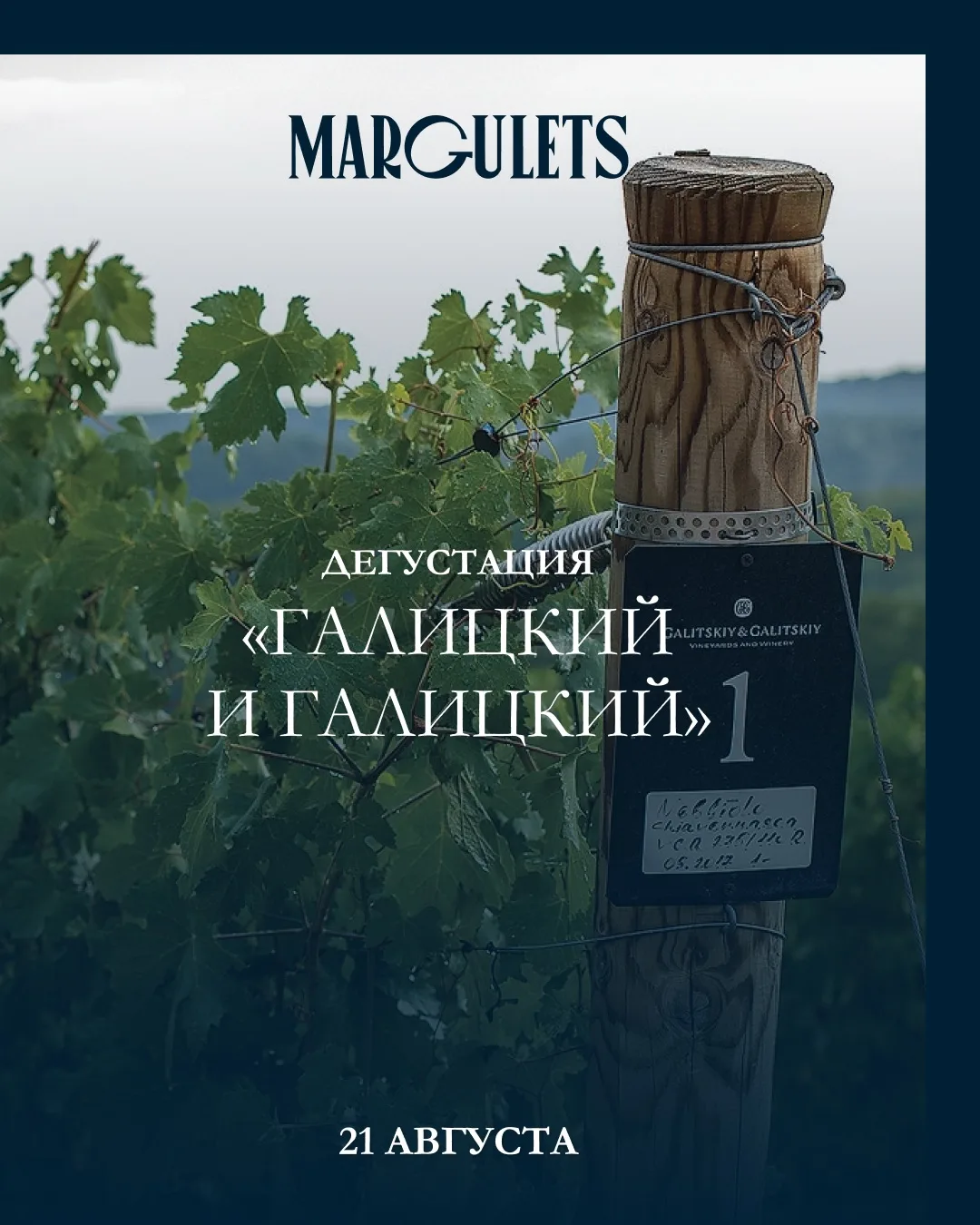 В гостях у заповедной природы Краснодарского края 🌿🍇