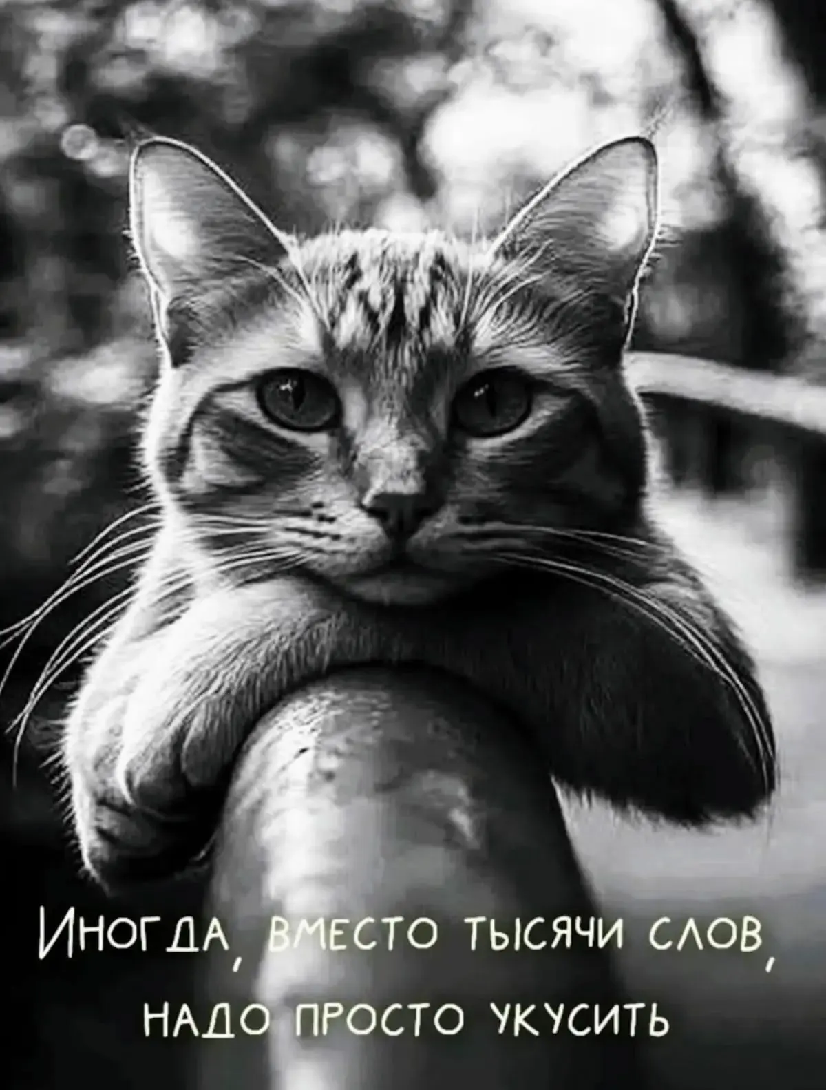 Кусь 🐾🐾