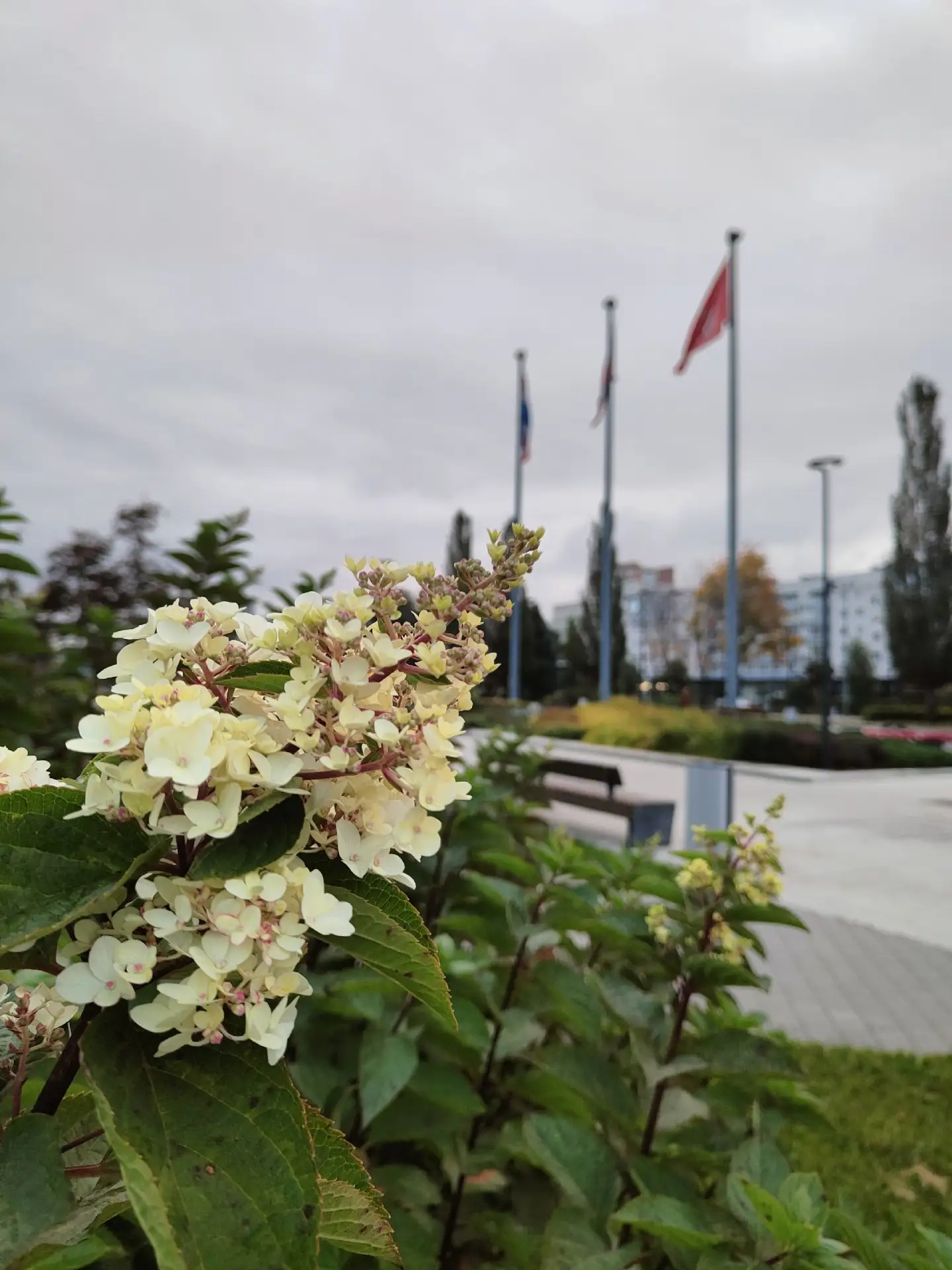 Утро октября в Перми 💙
