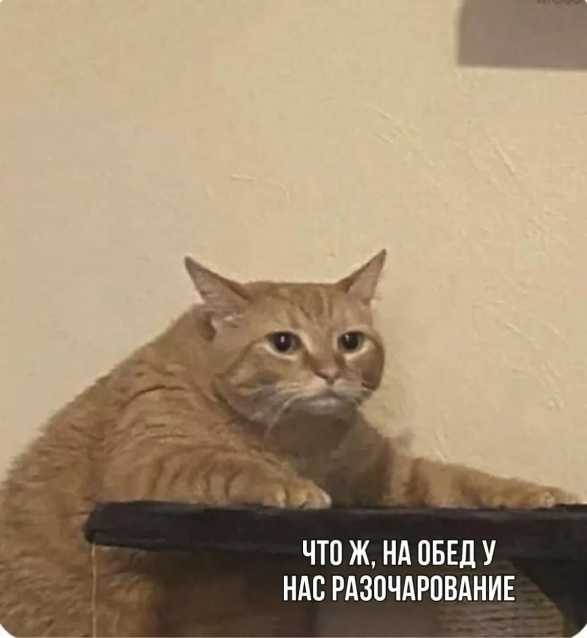 Я все еще не знаю, на сколько это интересно🙂но - так уже и быть)   Мой отчет ⬇️  • завтрак: омлет из