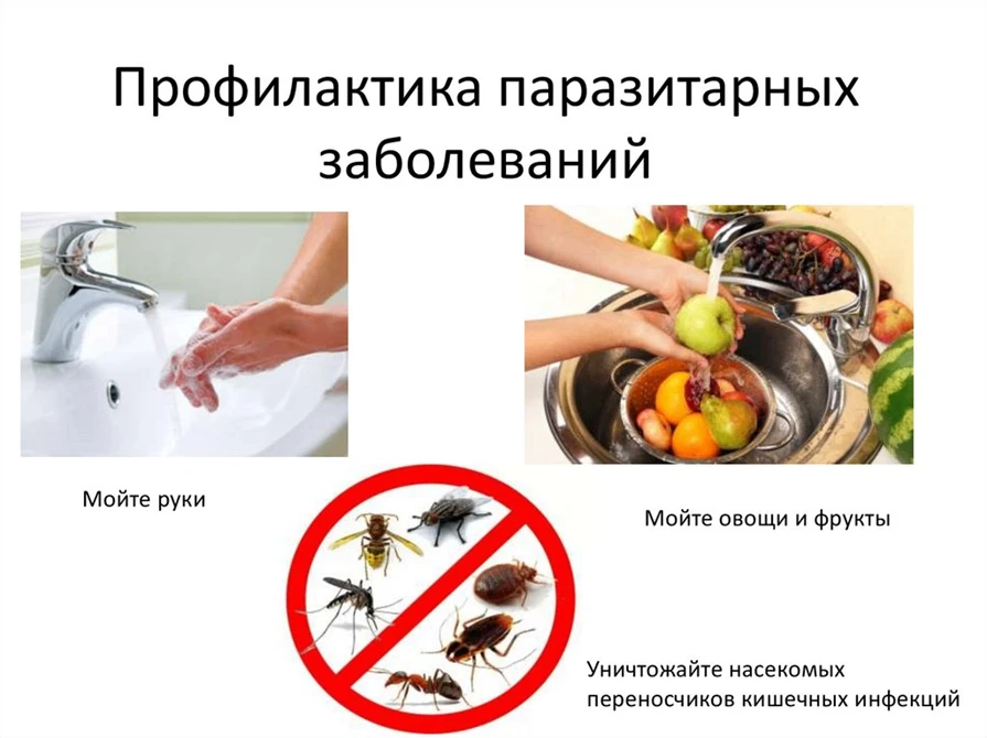 Территориальный отдел Управления Роспотребнадзора по Забайкальскому краю в городском округе «Поселок