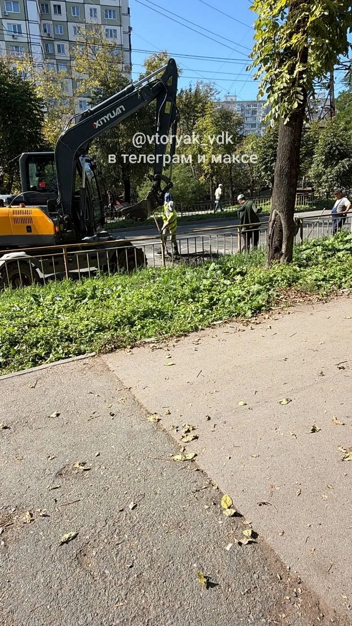 #замечаем_хорошее