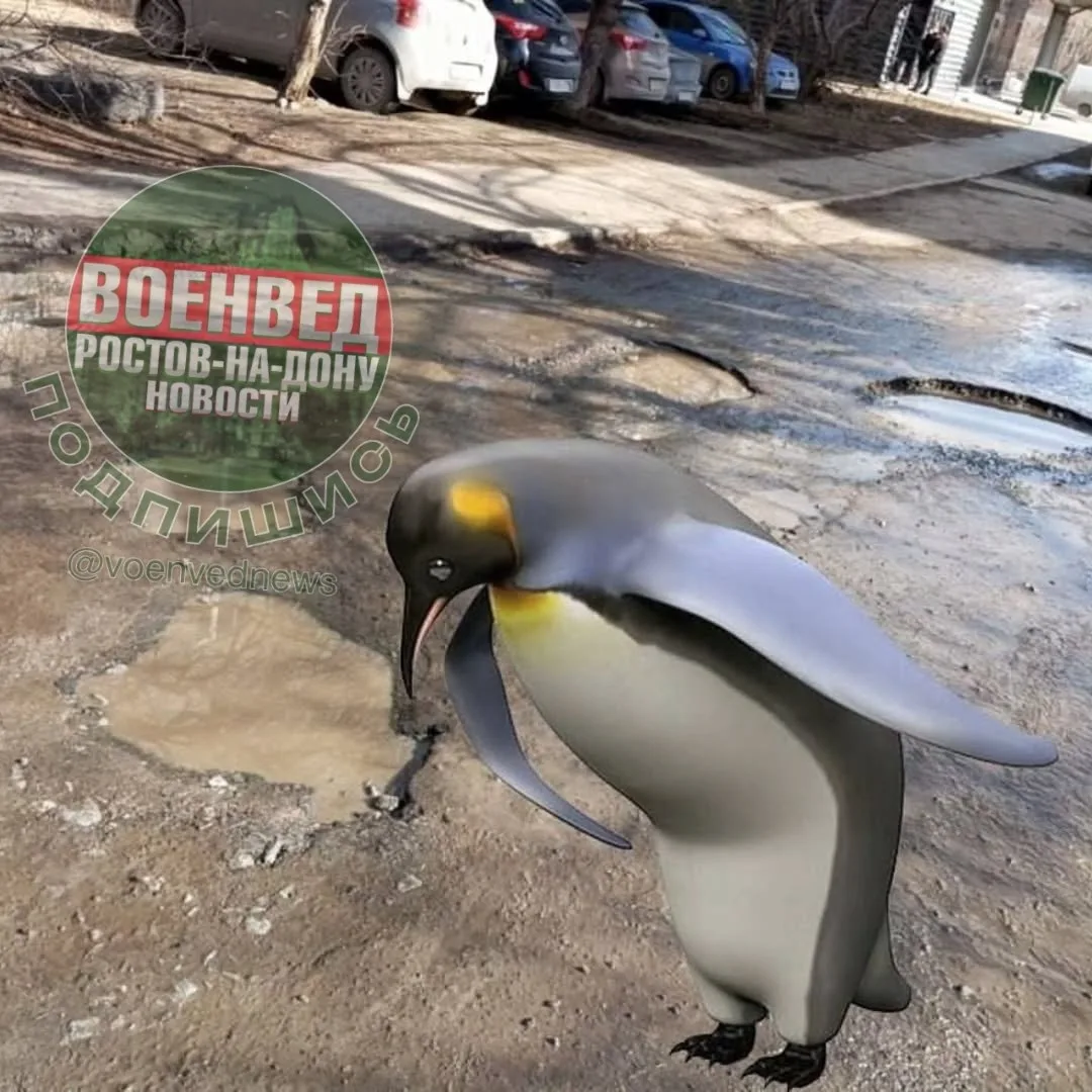 🫪Новость специально для наших дорожных реалий: в Госдуме хотят разрешить жителям много...
