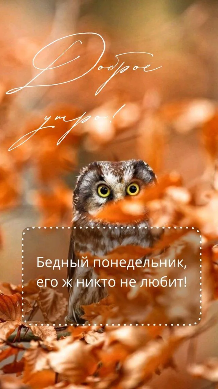 С новым днём ☕️
