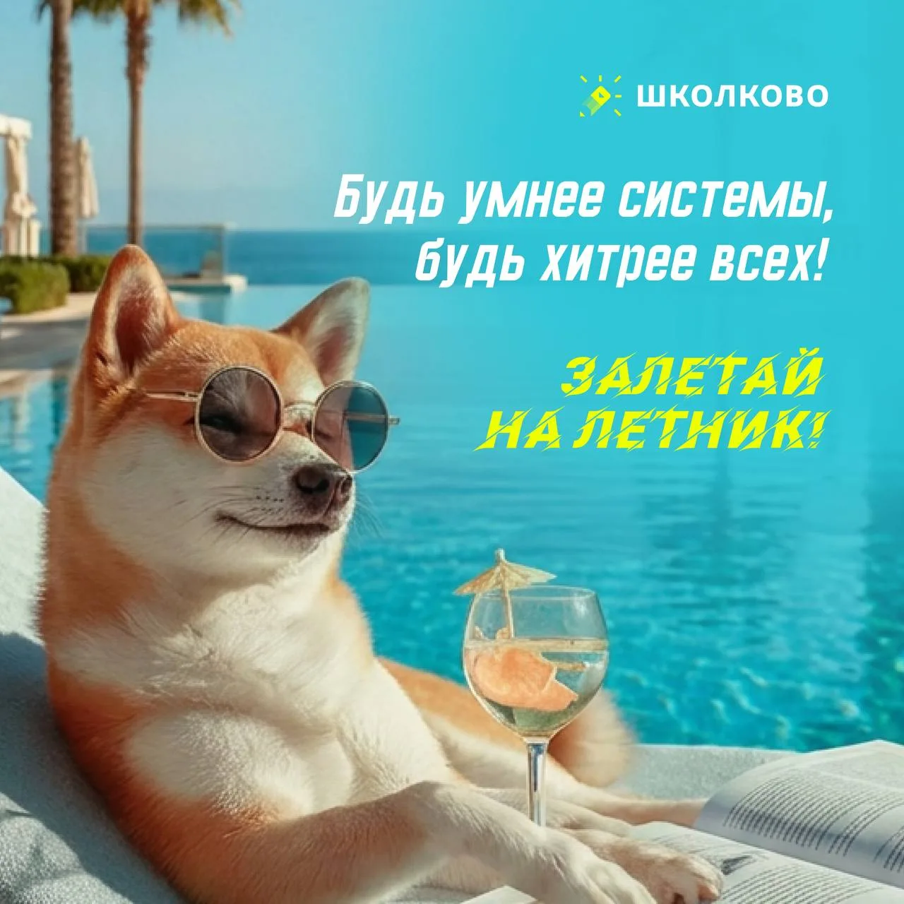 😎А летом можно быть как это пёс ☝️ То есть и чиллить, и немного ботать, а не совсем ничего не делат