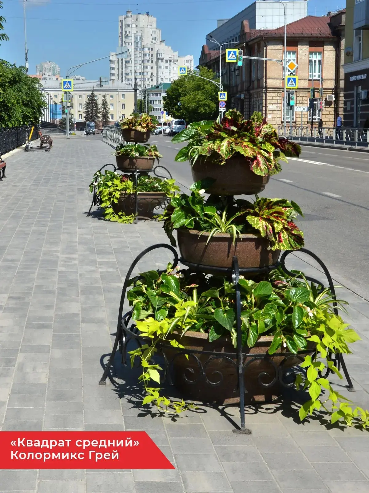 Всем доброе утро с цветущей улицы Зегеля в Липецке!