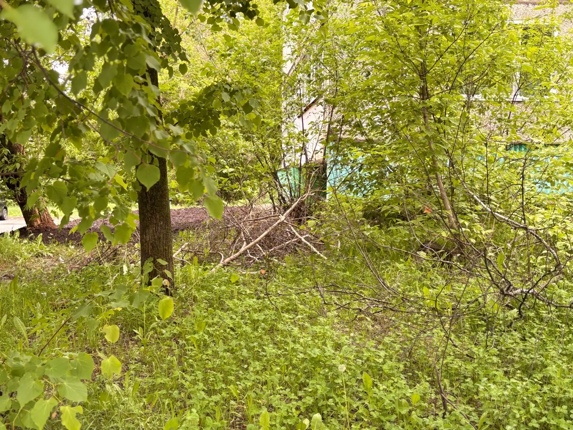 В Ленинском районе города Чебоксары прошёл комиссионный обход дворов в рамках проекта «Школа ЖКХ»  О