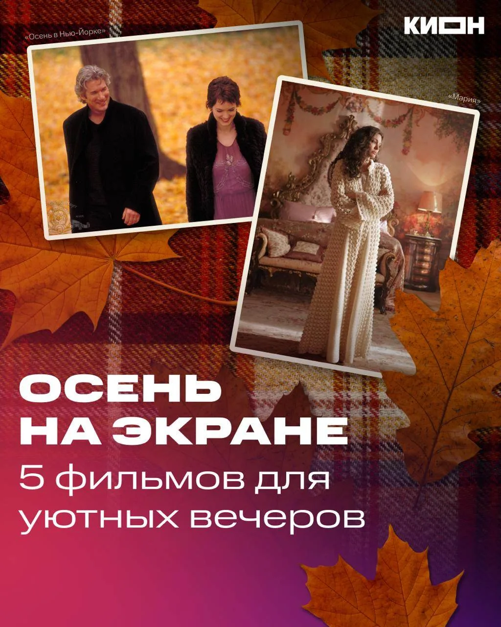 Биркин Кино цвета осень🍂