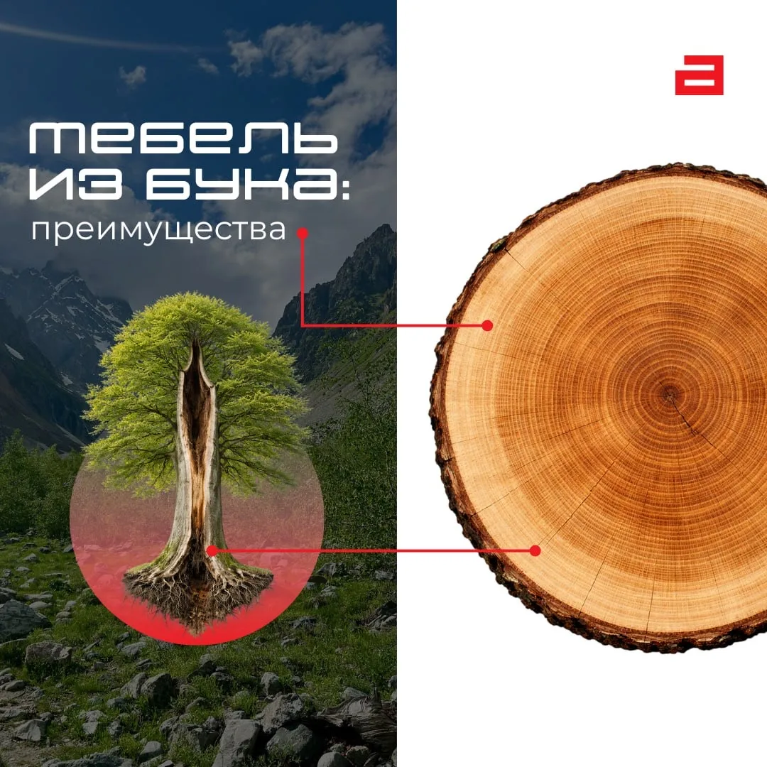 🪵 Мебель из массива бука — выбор тех, кто ценит качество, эстетику и долговечность!