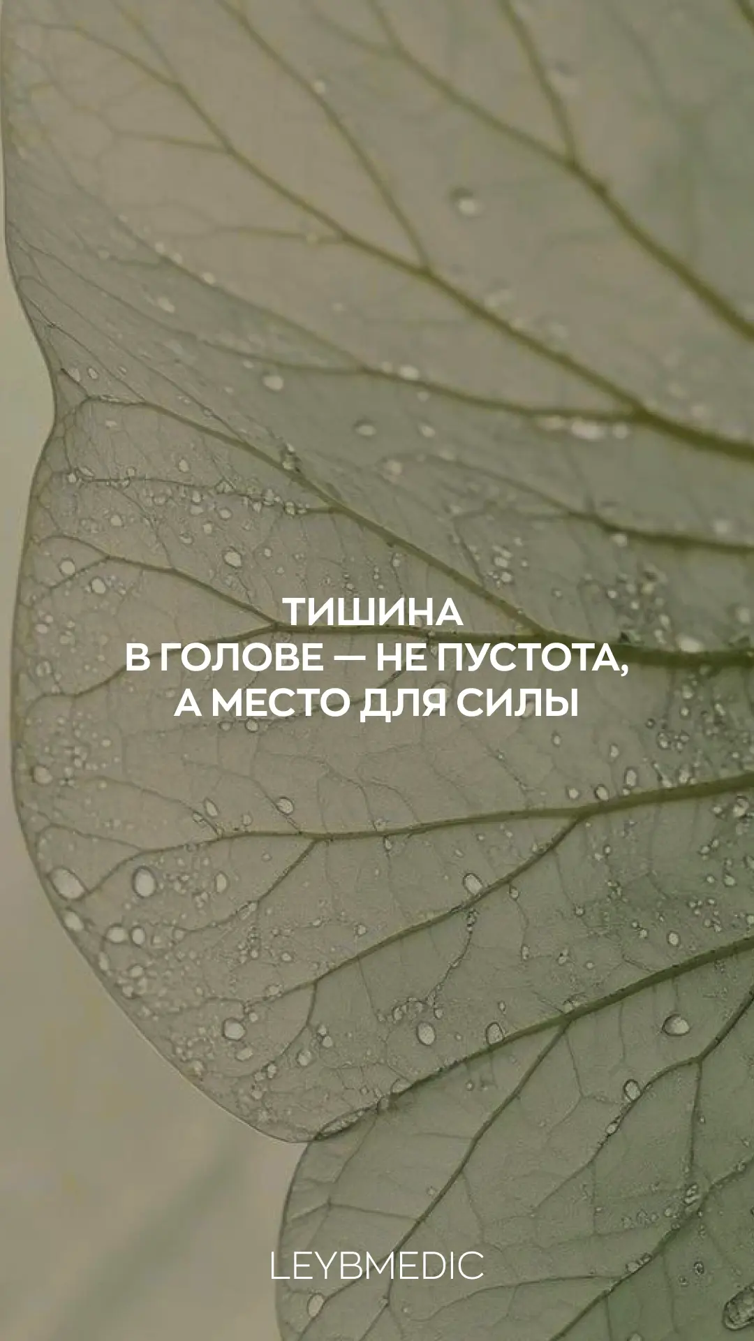 Пусть эта неделя будет как мягкий плед - уютной и надёжной.🍃