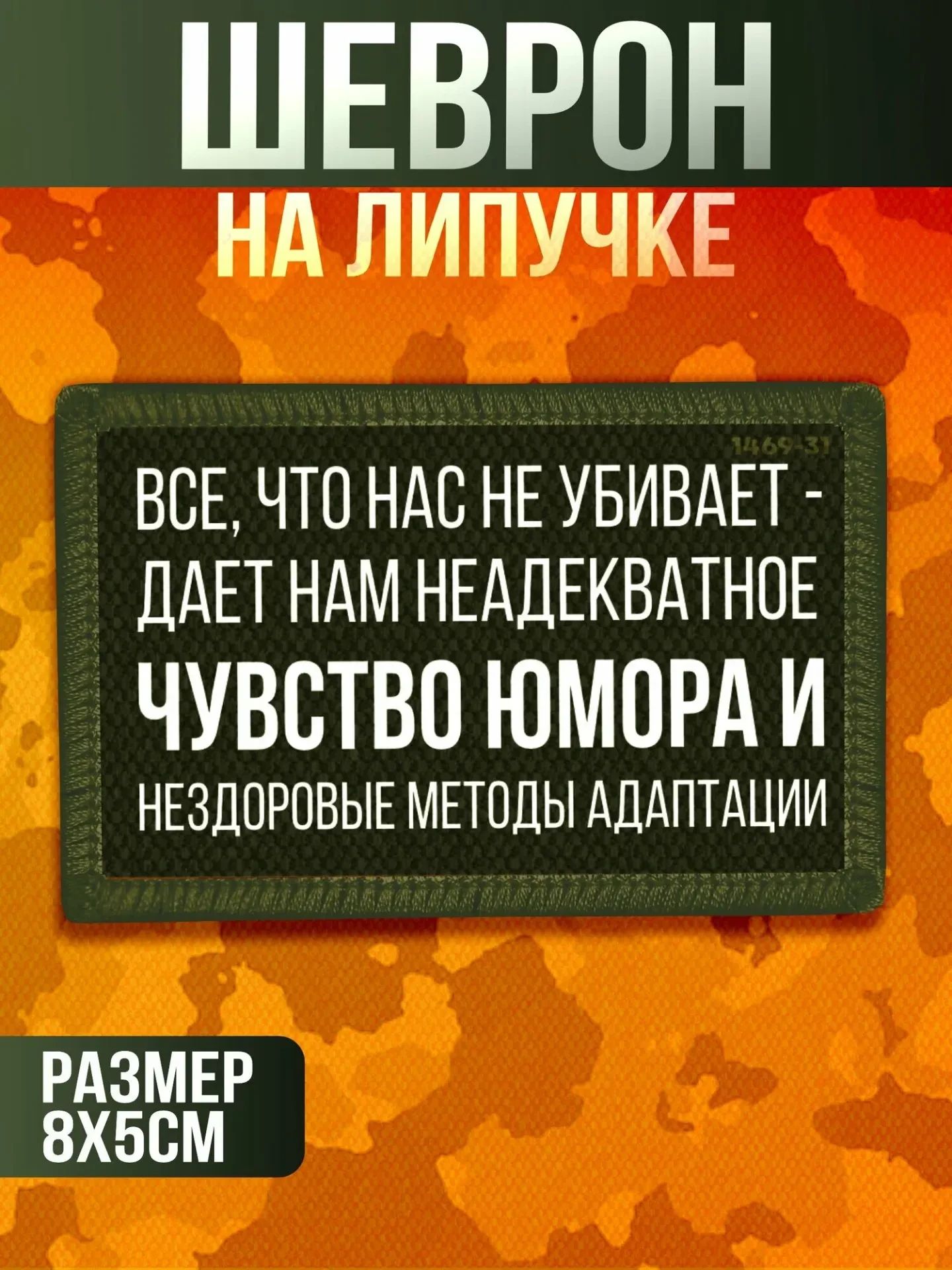 Изображение 3 к публикации «Привилегии СВО»