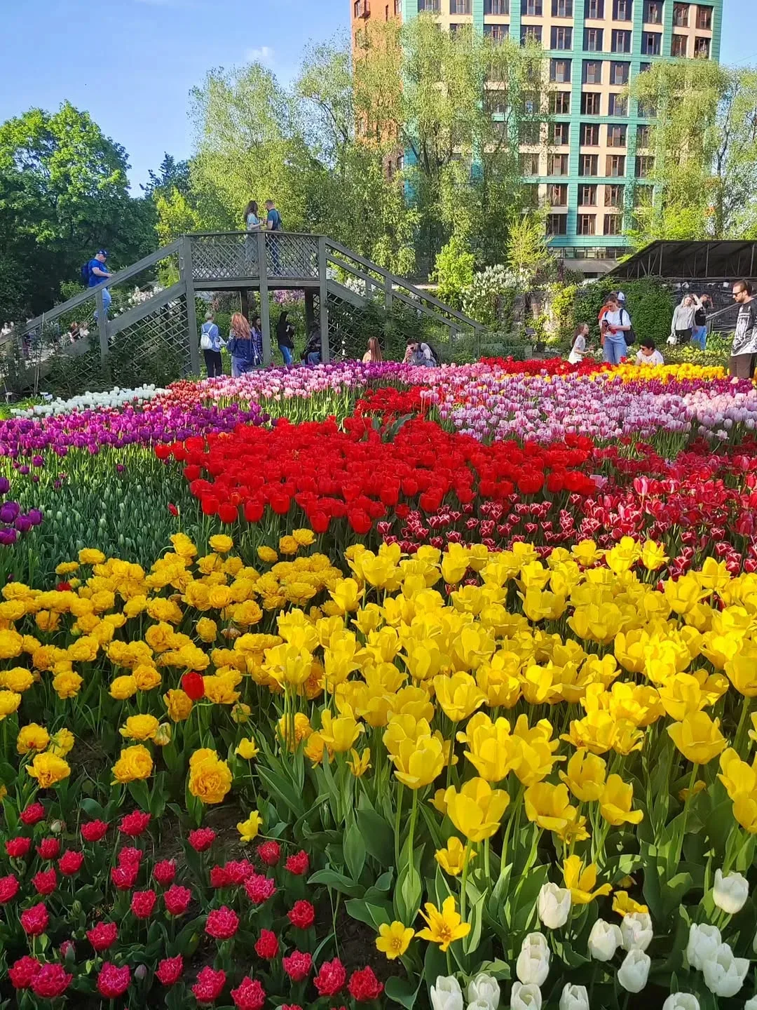 Красота в Аптекарском огороде 😍🌷🌷🌷  📍Проспект Мира, 26/1
