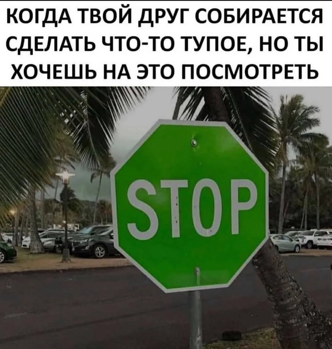 🪗 МУДРОСТЬ ДНЯ
