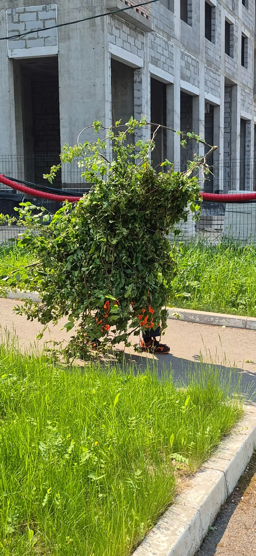⚡️😱 В Дивногорске замечены зелёные человечки!