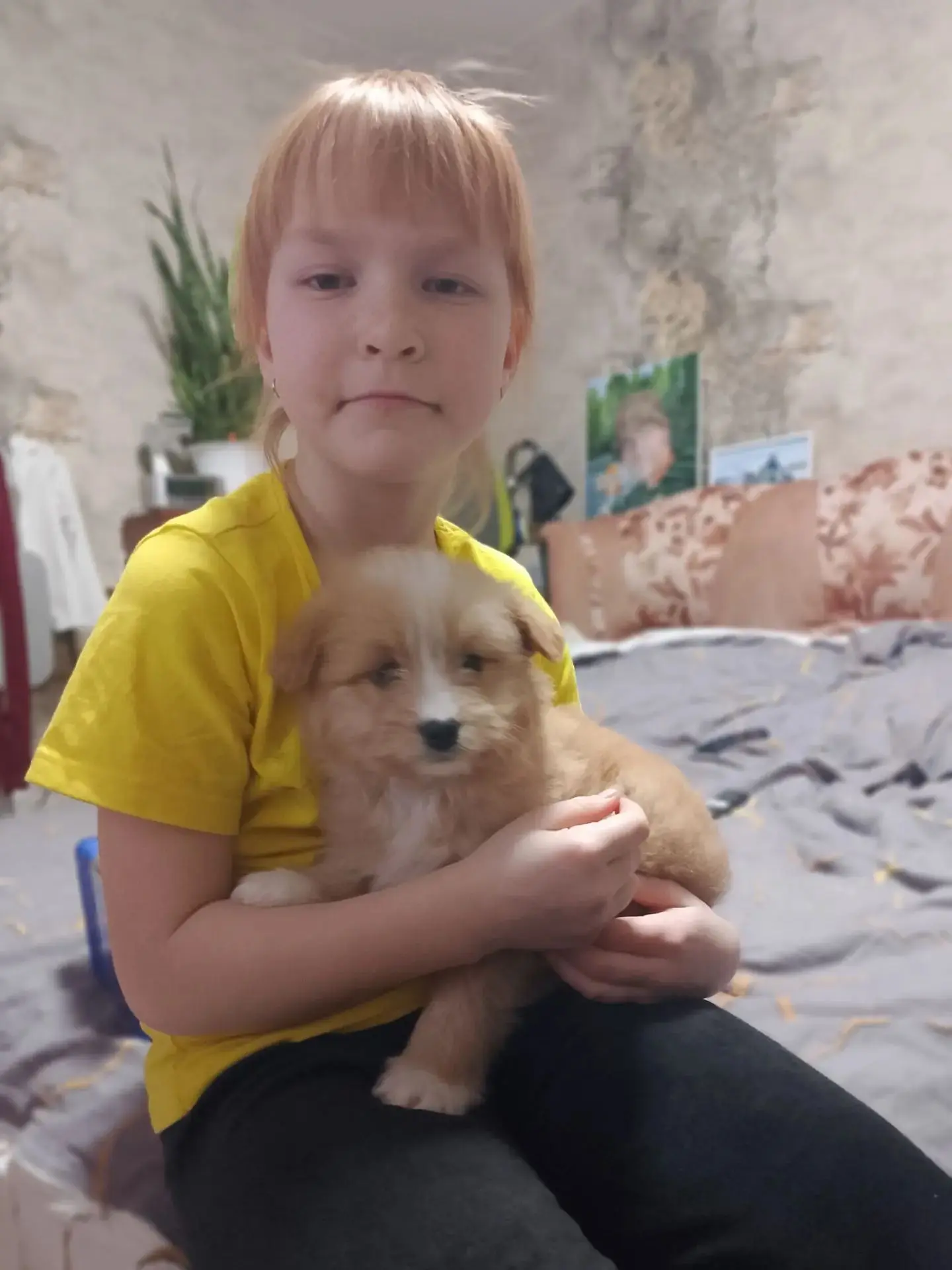 Нашу добрую инициативу продолжают поддерживать: