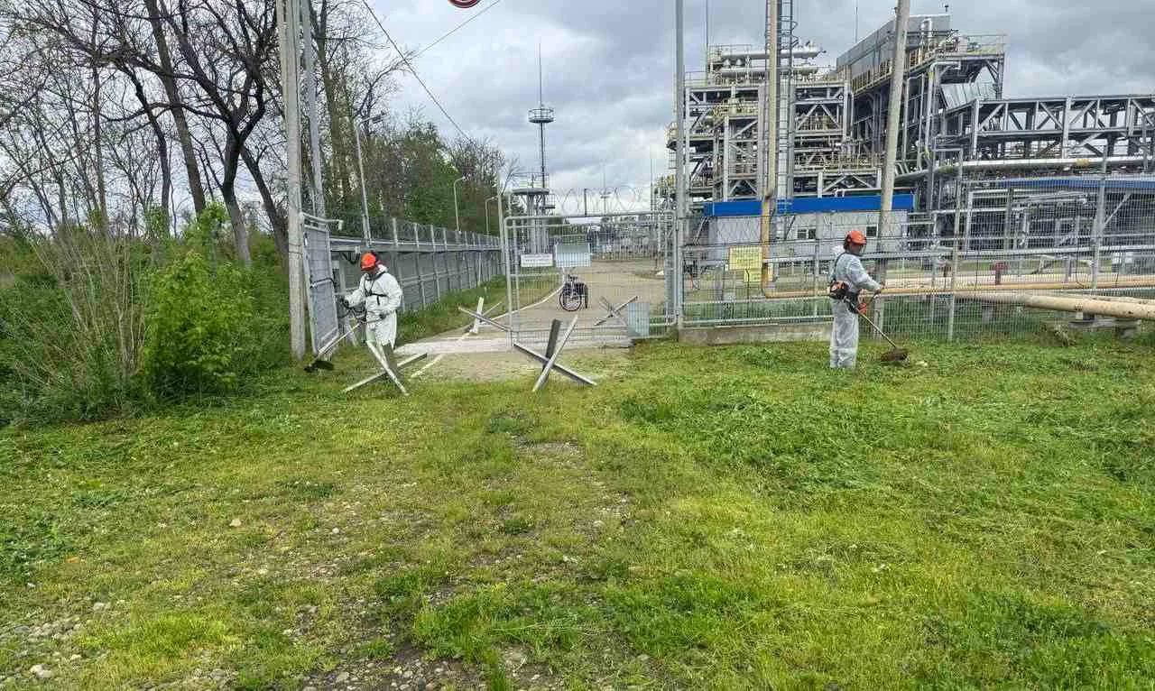 Росимущество повторно выставило на торги «Южгазэнерджи» и «Кейтеринг-Юг» за 3,97 млрд р...