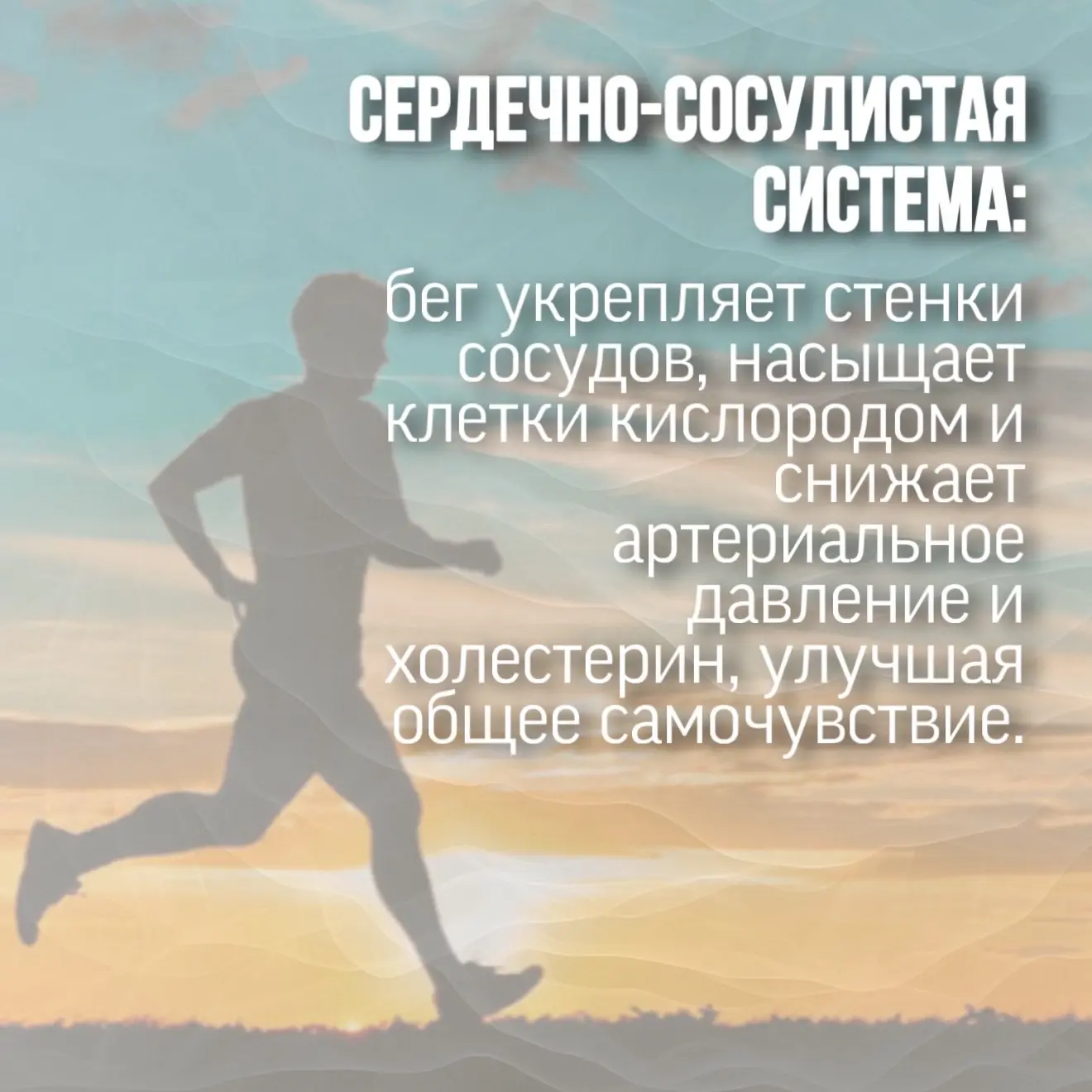 💪 В неделю популяризации активных видов спорта расскажем о пользе бега